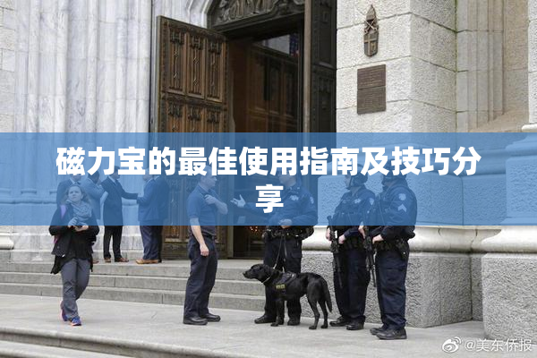 磁力宝的最佳使用指南及技巧分享
