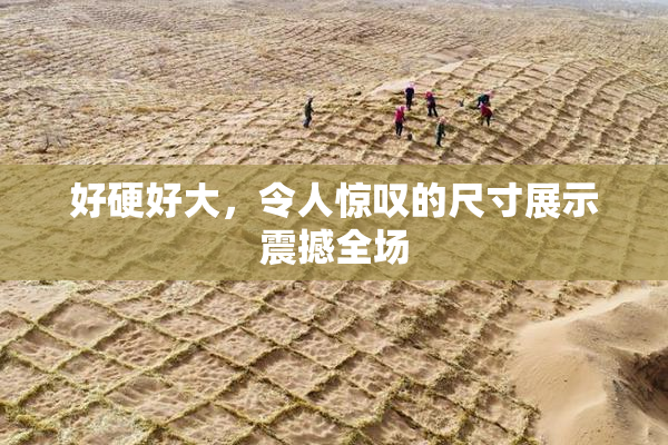 好硬好大，令人惊叹的尺寸展示震撼全场