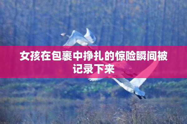 女孩在包裹中挣扎的惊险瞬间被记录下来