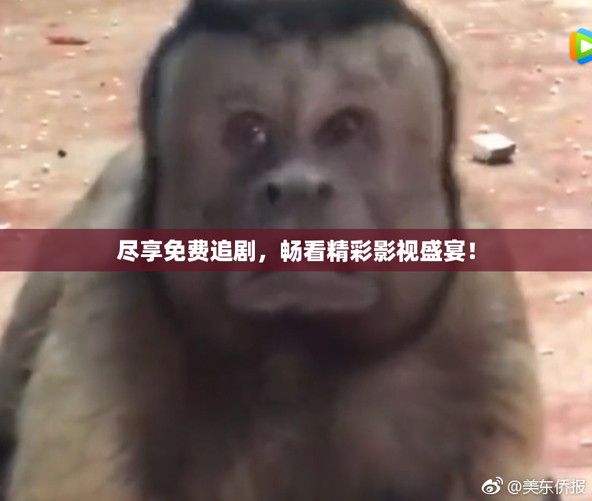 尽享免费追剧，畅看精彩影视盛宴！