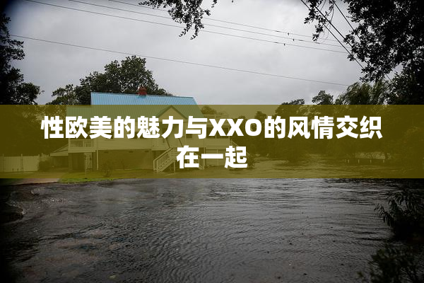 性欧美的魅力与XXO的风情交织在一起