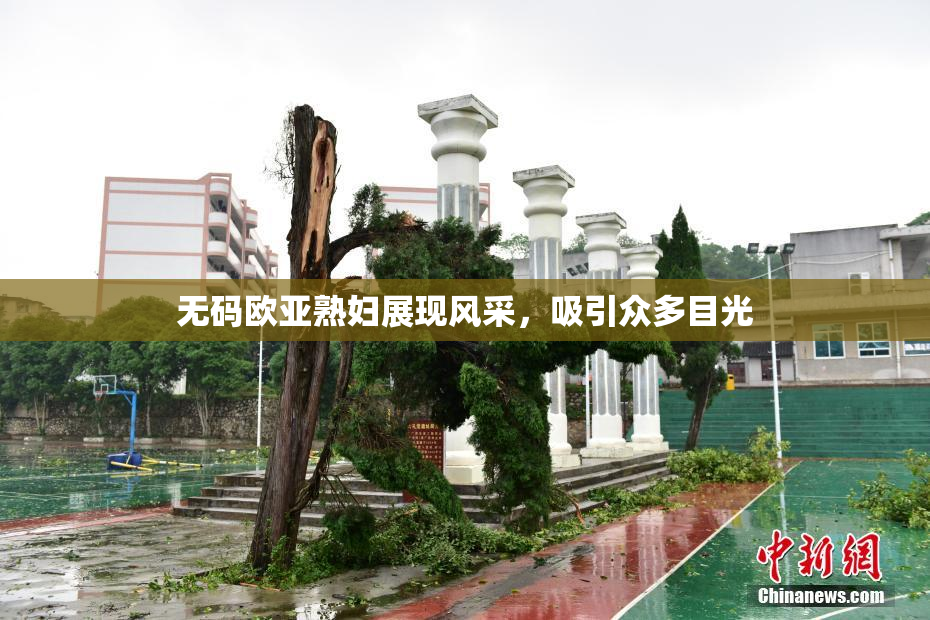 无码欧亚熟妇展现风采，吸引众多目光