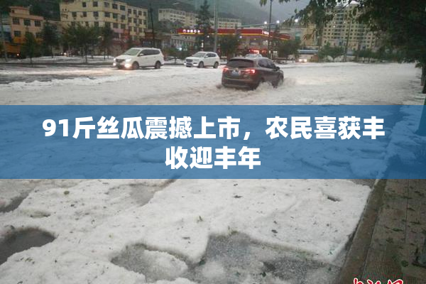 91斤丝瓜震撼上市，农民喜获丰收迎丰年