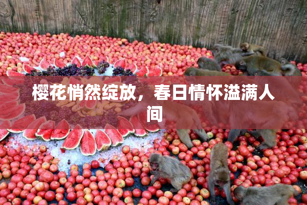 樱花悄然绽放，春日情怀溢满人间