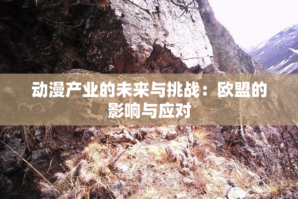 动漫产业的未来与挑战：欧盟的影响与应对