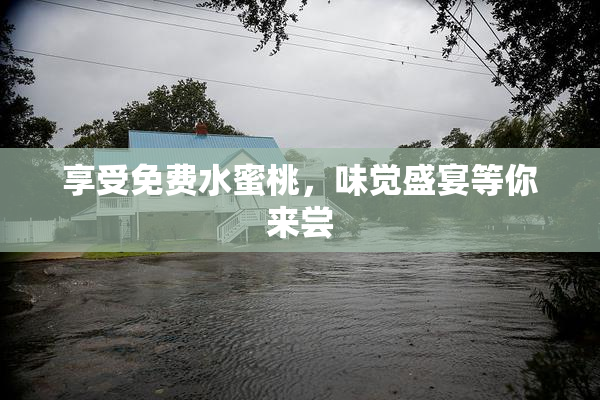 享受免费水蜜桃，味觉盛宴等你来尝