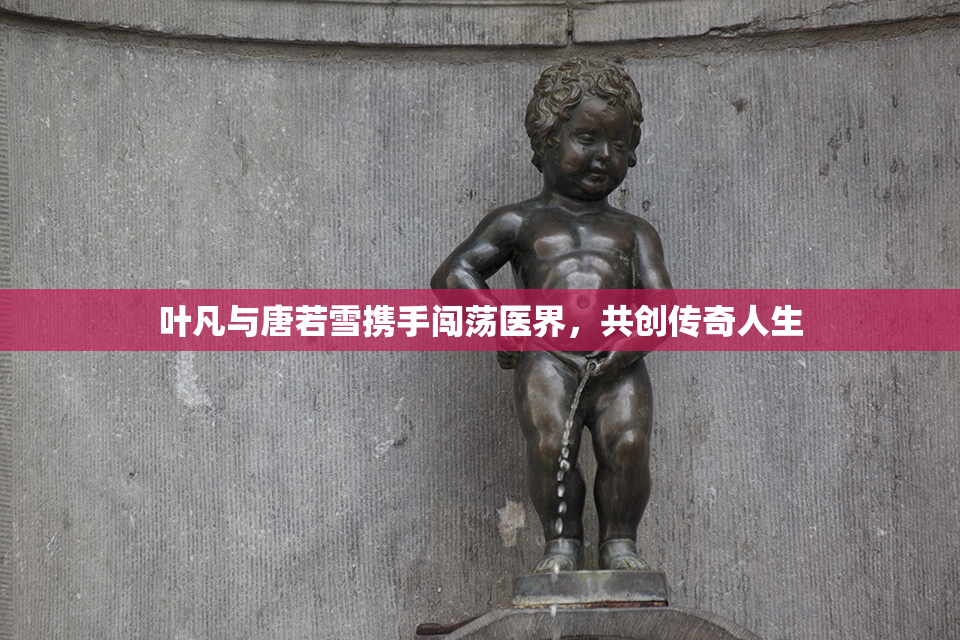 叶凡与唐若雪携手闯荡医界，共创传奇人生