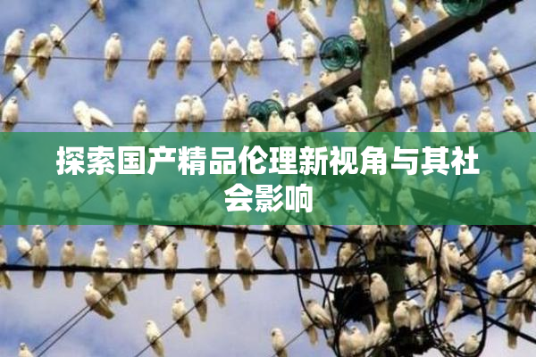 探索国产精品伦理新视角与其社会影响