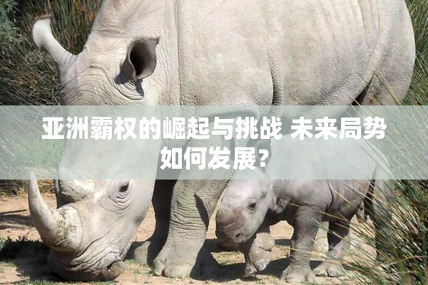 亚洲霸权的崛起与挑战 未来局势如何发展？