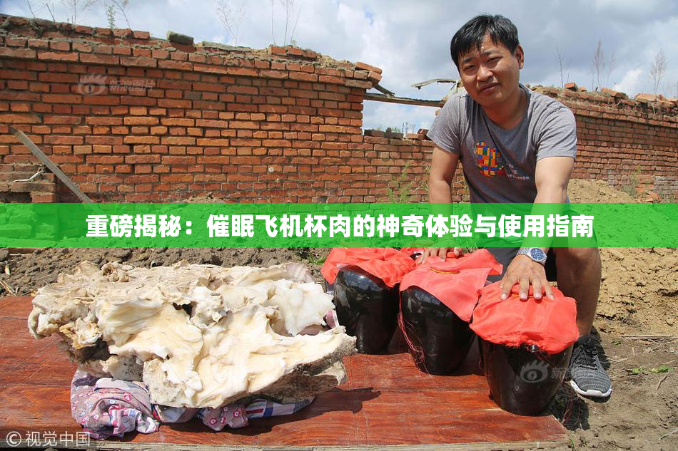 重磅揭秘：催眠飞机杯肉的神奇体验与使用指南