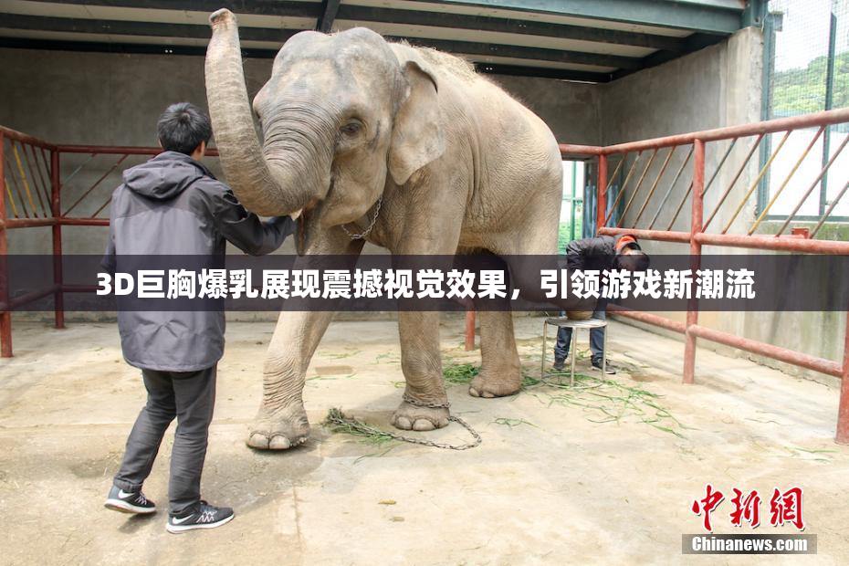 3D巨胸爆乳展现震撼视觉效果，引领游戏新潮流