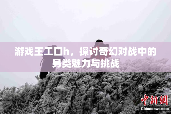 游戏王工口h，探讨奇幻对战中的另类魅力与挑战