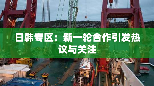日韩专区：新一轮合作引发热议与关注