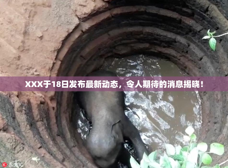 XXX于18日发布最新动态，令人期待的消息揭晓！