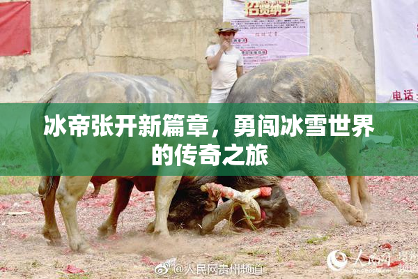 冰帝张开新篇章，勇闯冰雪世界的传奇之旅