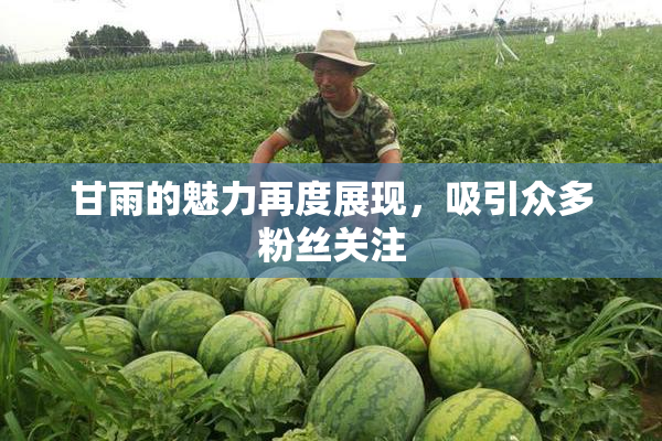 甘雨的魅力再度展现，吸引众多粉丝关注