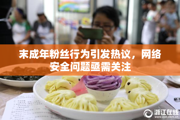 末成年粉丝行为引发热议，网络安全问题亟需关注