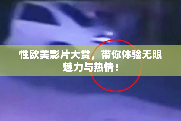 性欧美影片大赏，带你体验无限魅力与热情！