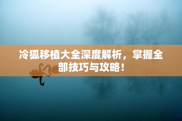 冷狐移植大全深度解析，掌握全部技巧与攻略！