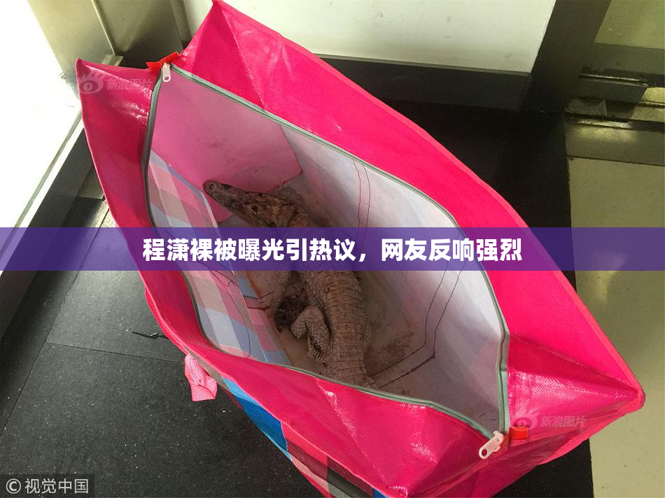 程潇裸被曝光引热议，网友反响强烈