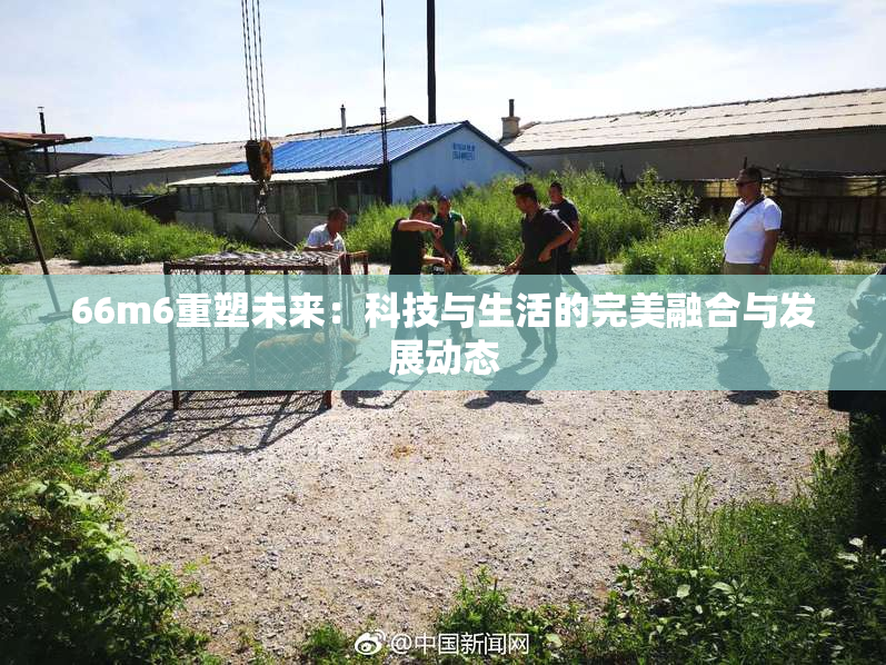 66m6重塑未来：科技与生活的完美融合与发展动态