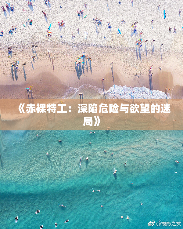 《赤裸特工：深陷危险与欲望的迷局》