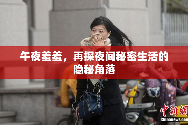 午夜羞羞，再探夜间秘密生活的隐秘角落