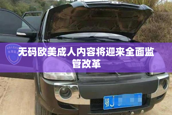 无码欧美成人内容将迎来全面监管改革