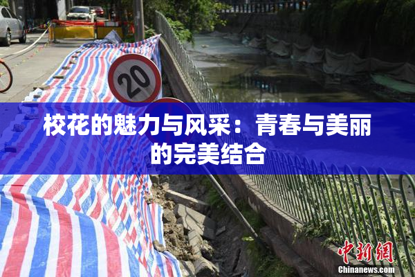 校花的魅力与风采：青春与美丽的完美结合