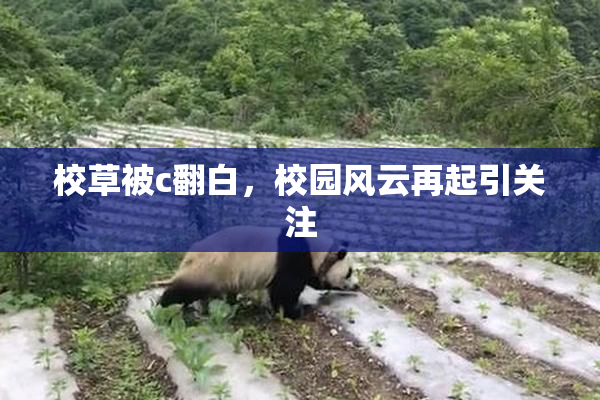 校草被c翻白，校园风云再起引关注