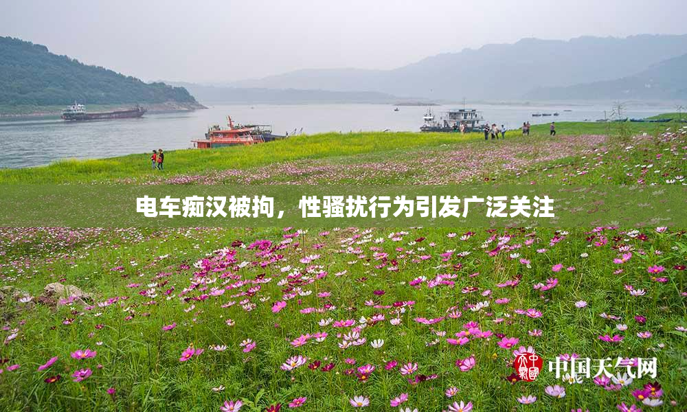 电车痴汉被拘，性骚扰行为引发广泛关注