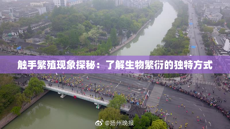 触手繁殖现象探秘：了解生物繁衍的独特方式