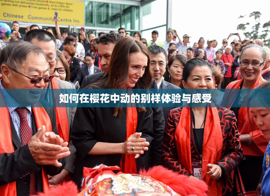 如何在樱花中动的别样体验与感受