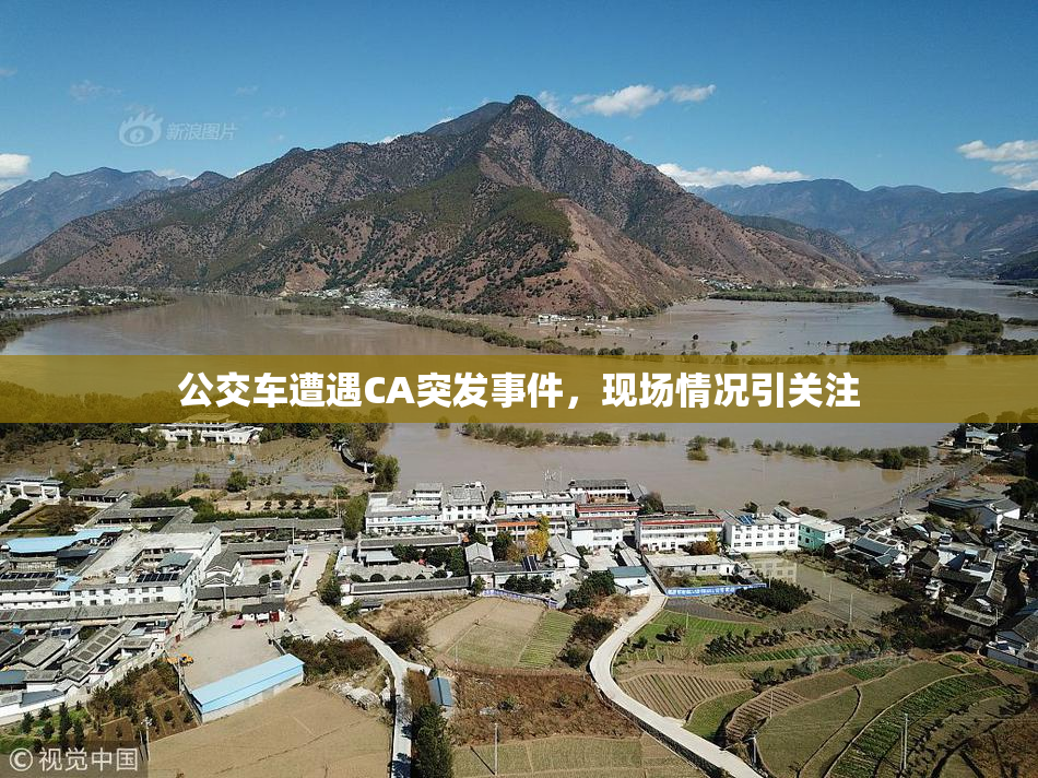 公交车遭遇CA突发事件，现场情况引关注