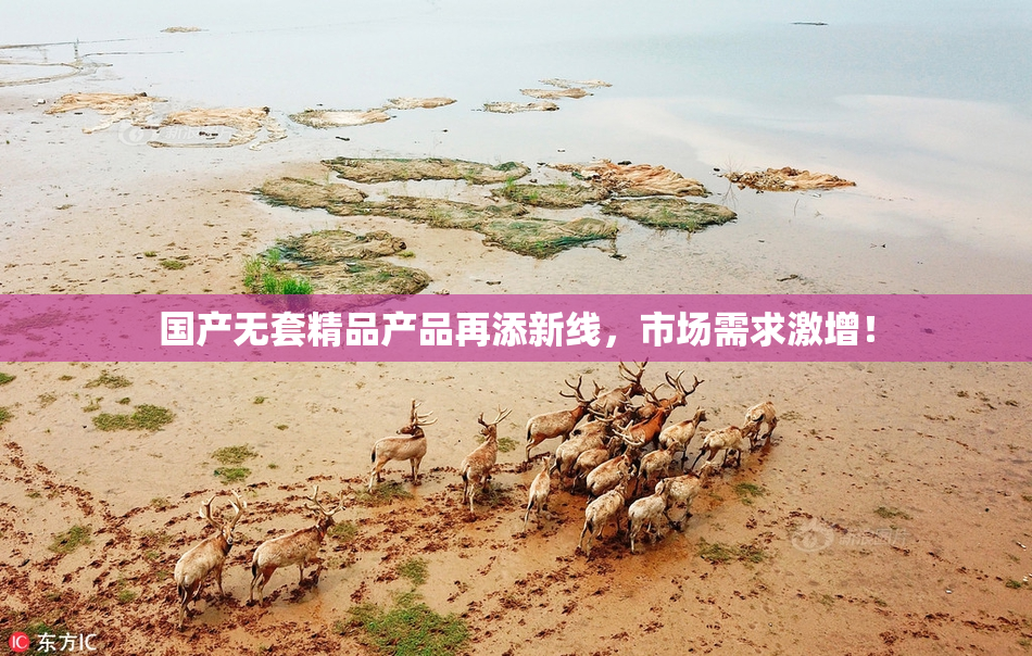 国产无套精品产品再添新线，市场需求激增！