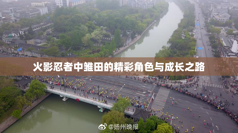 火影忍者中雏田的精彩角色与成长之路