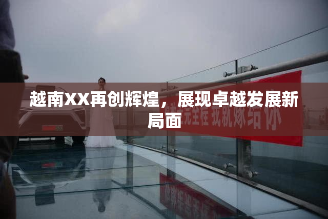 越南XX再创辉煌，展现卓越发展新局面