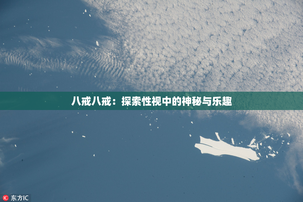 八戒八戒：探索性视中的神秘与乐趣