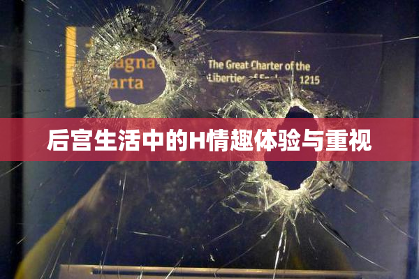 后宫生活中的H情趣体验与重视