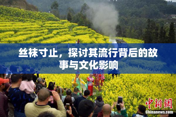 丝袜寸止，探讨其流行背后的故事与文化影响