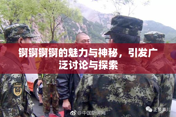锕锕锕锕的魅力与神秘，引发广泛讨论与探索