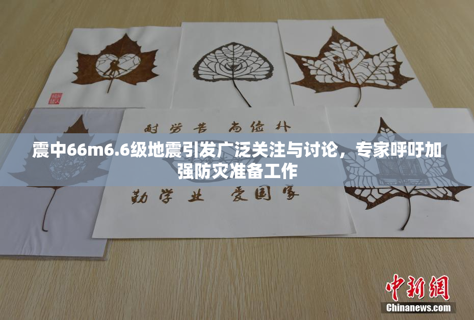 震中66m6.6级地震引发广泛关注与讨论，专家呼吁加强防灾准备工作