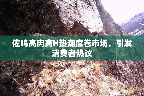 佐鸣高肉高H热潮席卷市场，引发消费者热议