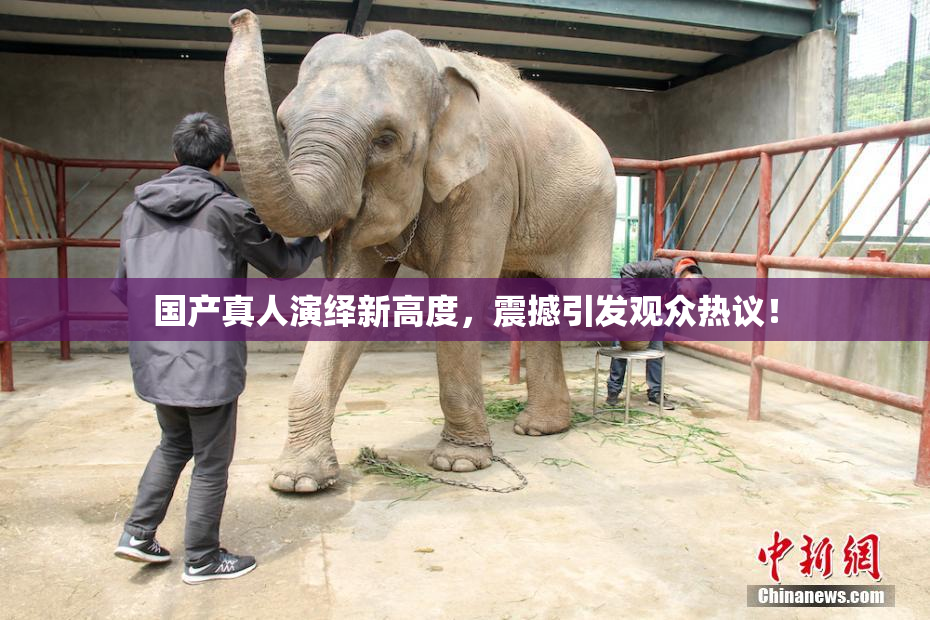 国产真人演绎新高度，震撼引发观众热议！