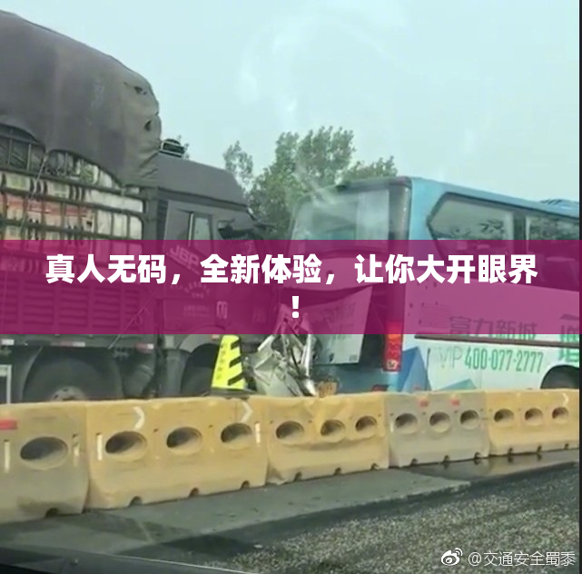 真人无码，全新体验，让你大开眼界！