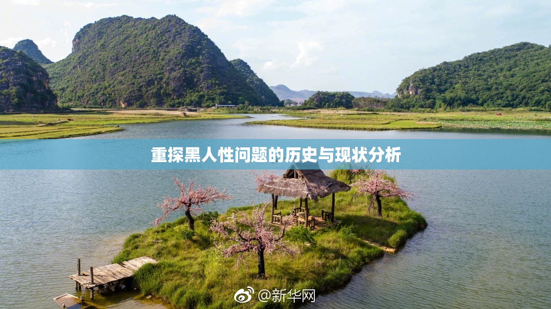 重探黑人性问题的历史与现状分析