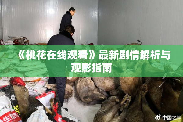 《桃花在线观看》最新剧情解析与观影指南