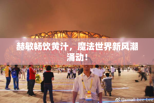 赫敏畅饮黄汁，魔法世界新风潮涌动！