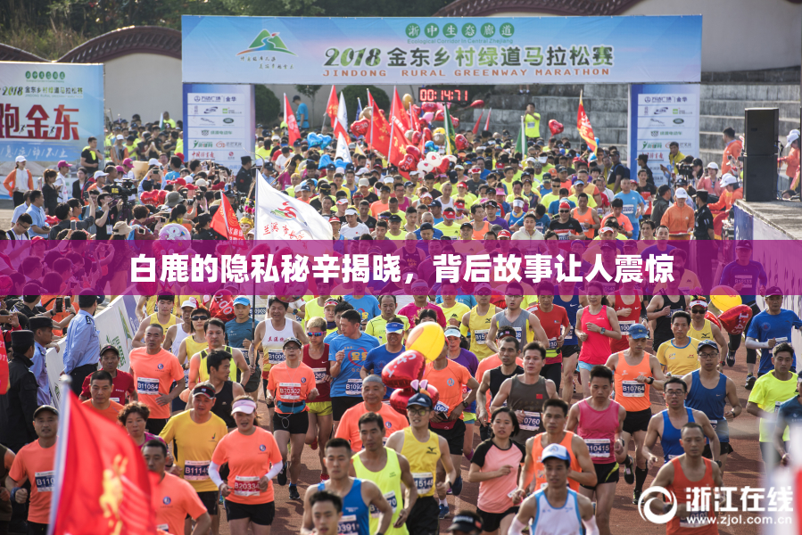 白鹿的隐私秘辛揭晓，背后故事让人震惊