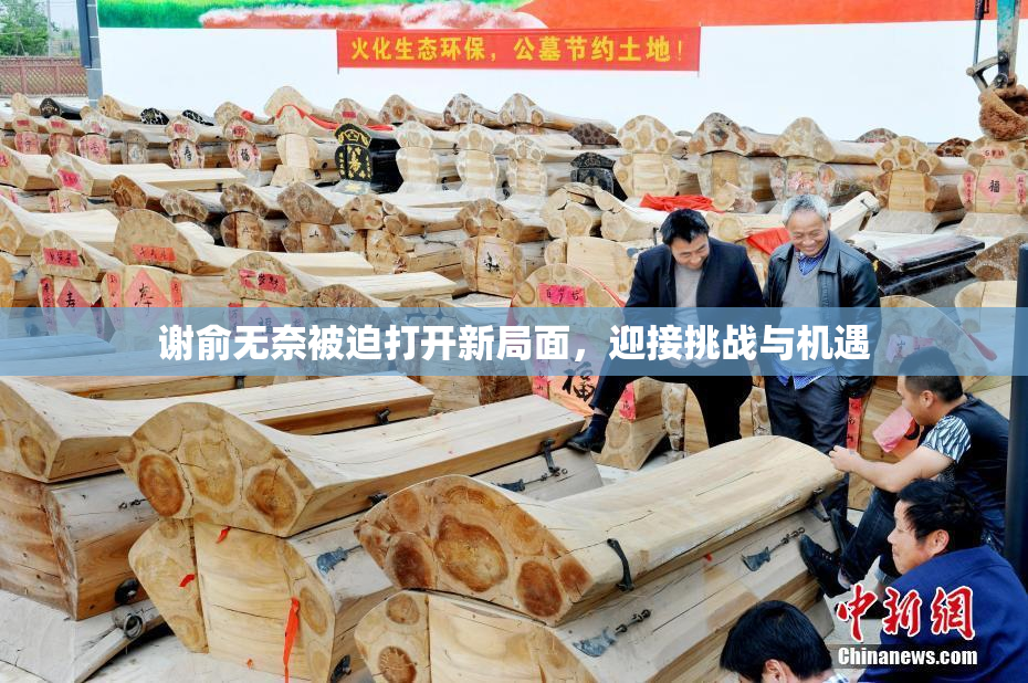 谢俞无奈被迫打开新局面，迎接挑战与机遇